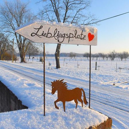 Ferienwohnung Auf Pferdehof Dreetz Esterno foto