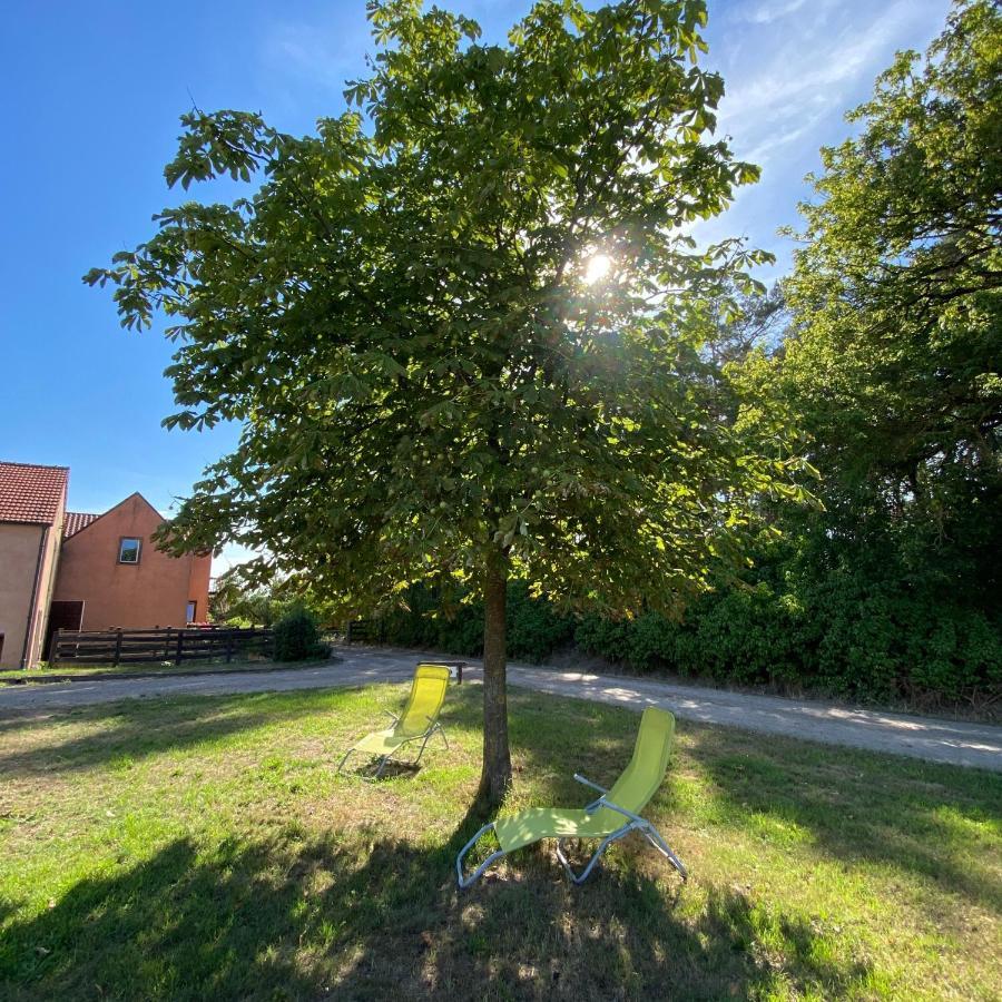 Ferienwohnung Auf Pferdehof Dreetz Esterno foto