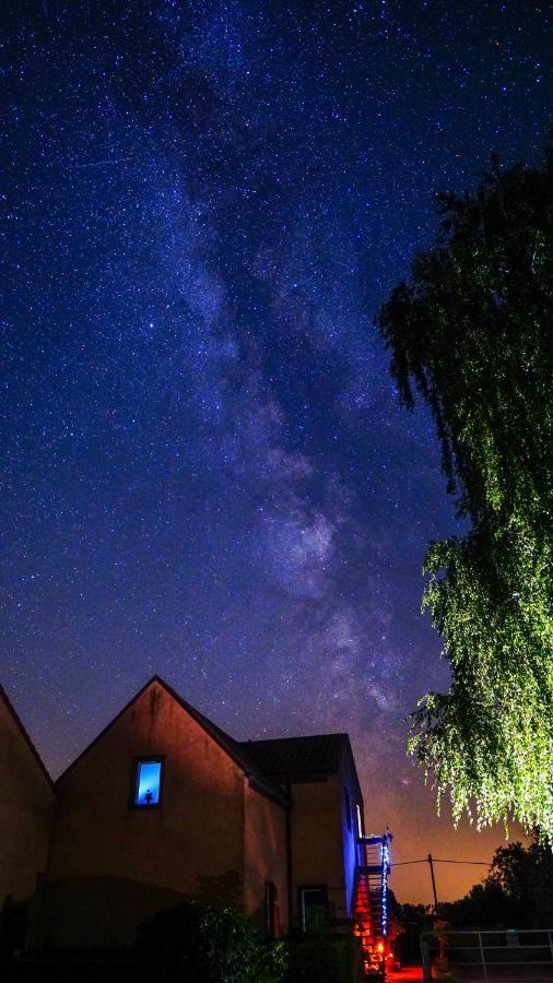 Ferienwohnung Auf Pferdehof Dreetz Esterno foto