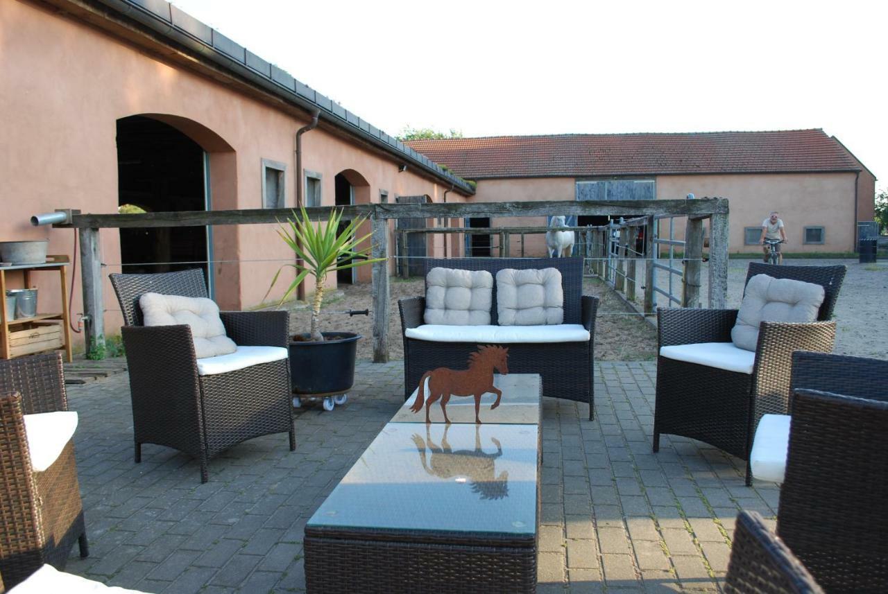 Ferienwohnung Auf Pferdehof Dreetz Esterno foto