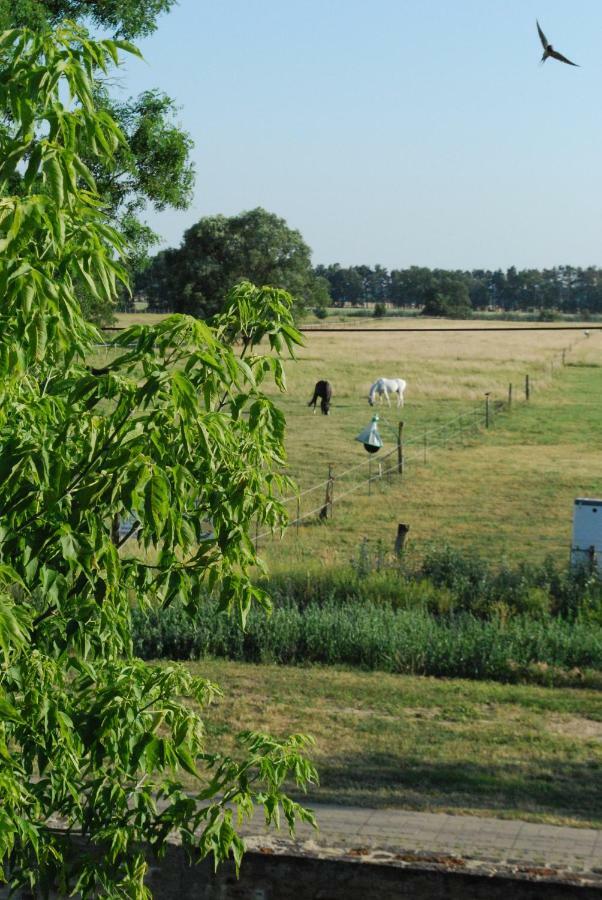 Ferienwohnung Auf Pferdehof Dreetz Esterno foto