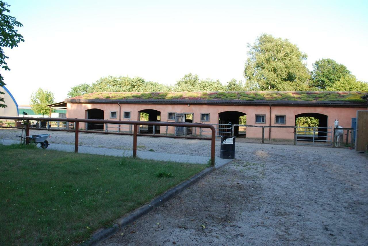 Ferienwohnung Auf Pferdehof Dreetz Esterno foto
